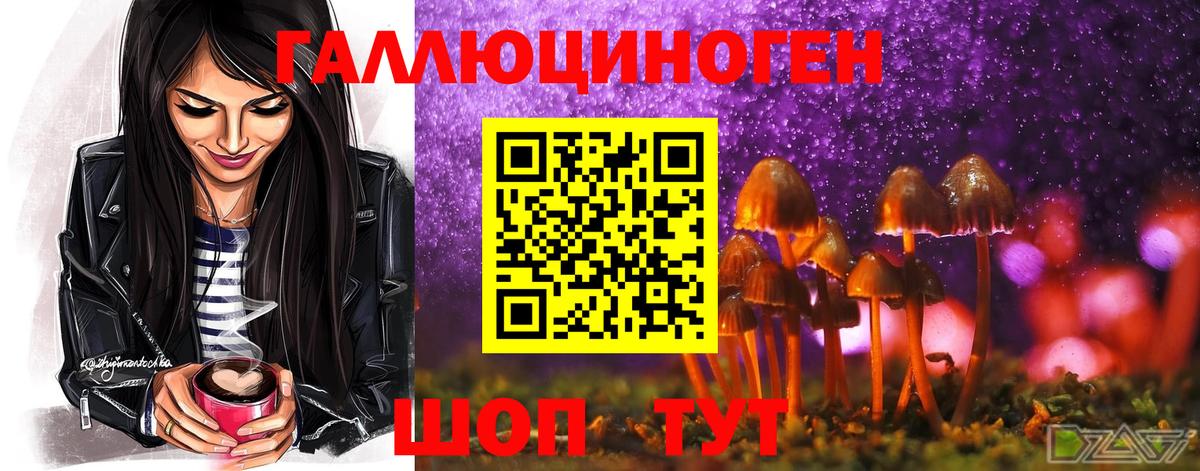 Псилоцибиновые грибы мухоморы  Галлюциногенные грибы Psilocybine cubensis  Вход с VPN  Альметьевск 