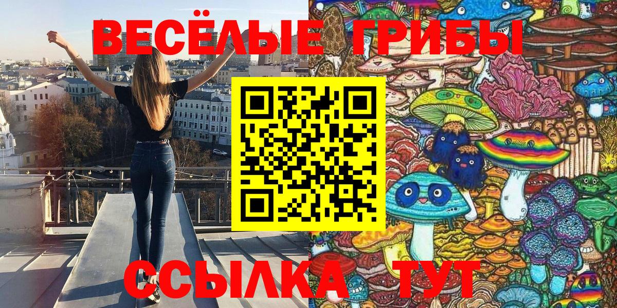 Галлюциногенные грибы Cubensis Альметьевск